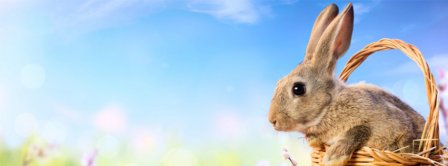 Easters Bunny Facebook Covers